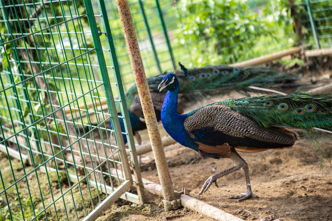长沙洋沙湖,长沙洋湖附近游玩