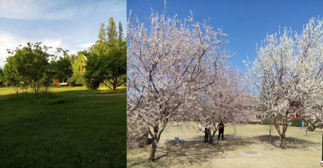 考上了清华大学会怎样,考上清华以后长大生活怎么样