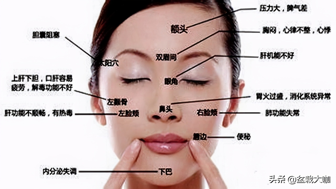 怎么彻底解决螨虫的问题,螨虫真这么可怕吗视频播放