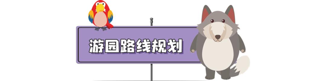 长隆飞鸟乐园长隆熊猫酒店怎么选,周一长隆野生动物园游玩攻略