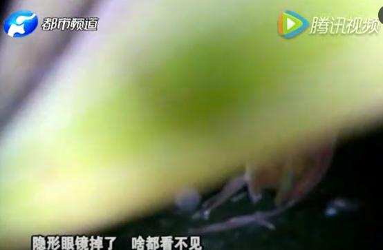 他伪装智障，冒死进黑窑解救30多人，因为他，黑煤矿得到有力打击