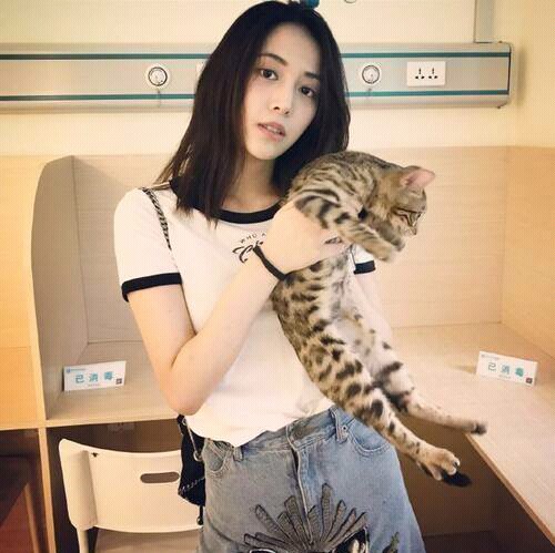 杨幂的公司签了好多有实力的美女,杨幂公司旗下的4位美女演员