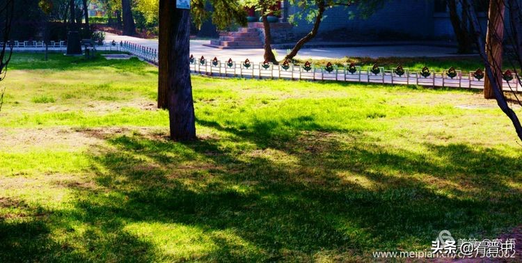 山西农大美丽的校园,山西农大校园风光