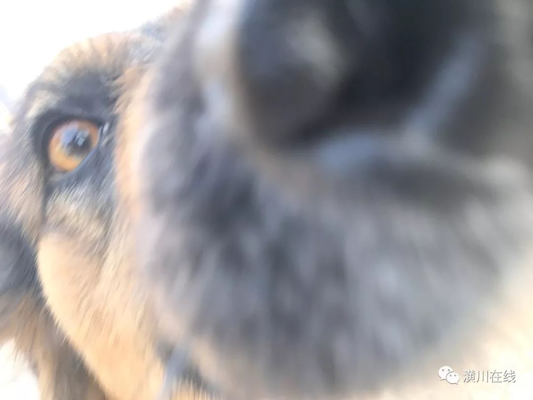 潢川双柳高山,潢川最高峰