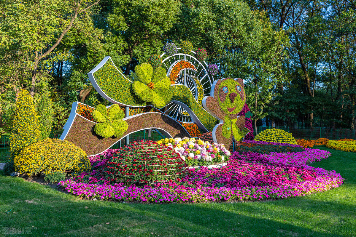 重阳节赏菊正当时，推荐国内这9个地方的赏菊好去处，沉浸式赏花