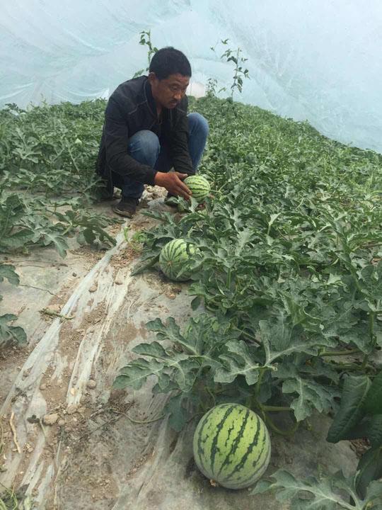 亳州头条新闻今日,亳州新闻最新今日
