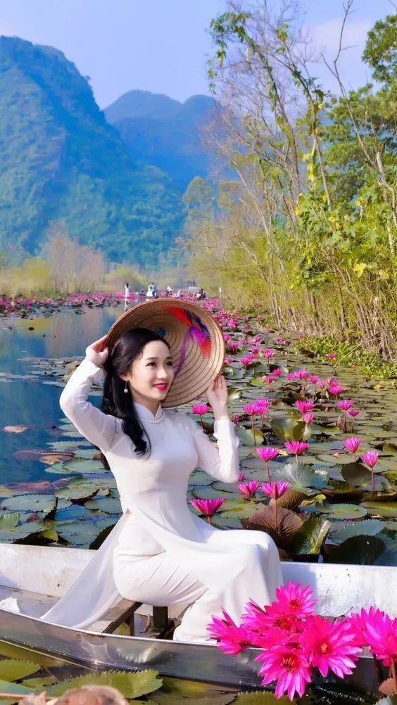 出淤泥而不染荷花之美,如果你是一朵出淤泥而不染的荷花