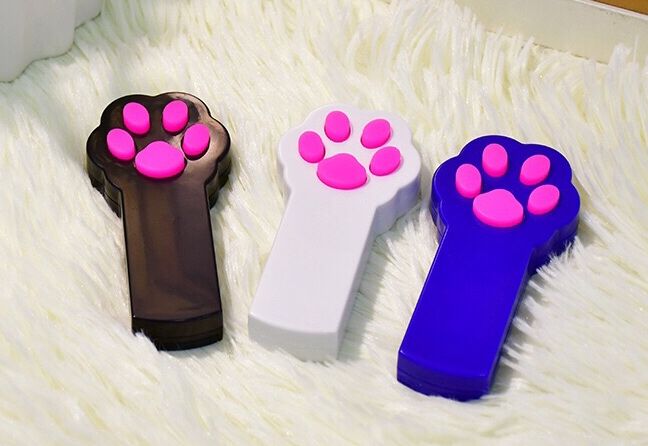 养猫要买什么猫咪用品 (养猫必买哪几样东西)