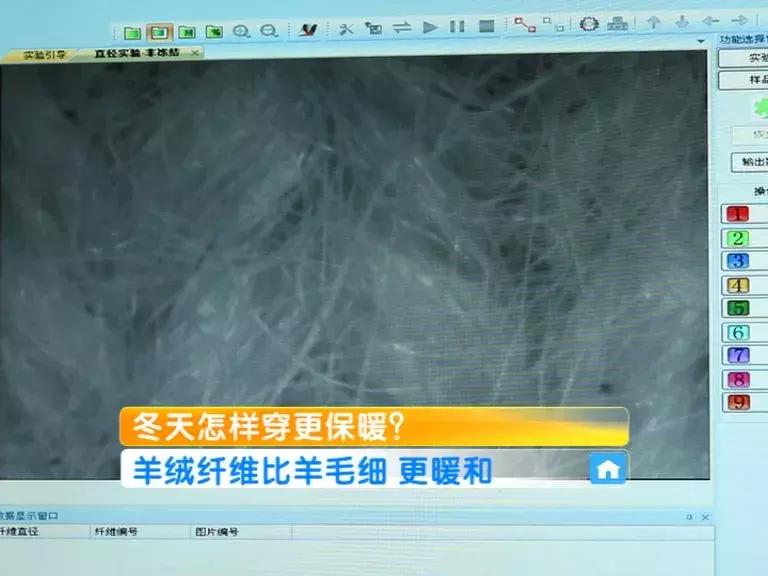 羊毛衫加绒卫衣保暖性,羊毛衫跟加绒线衫哪个保暖