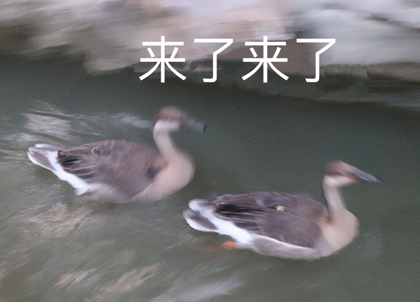 川美录取分数线2019美术生,贵州美术生考央美和川美哪个难