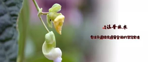 交通事故重伤构成交通肇事罪吗,交通事故特殊体质能评伤残吗