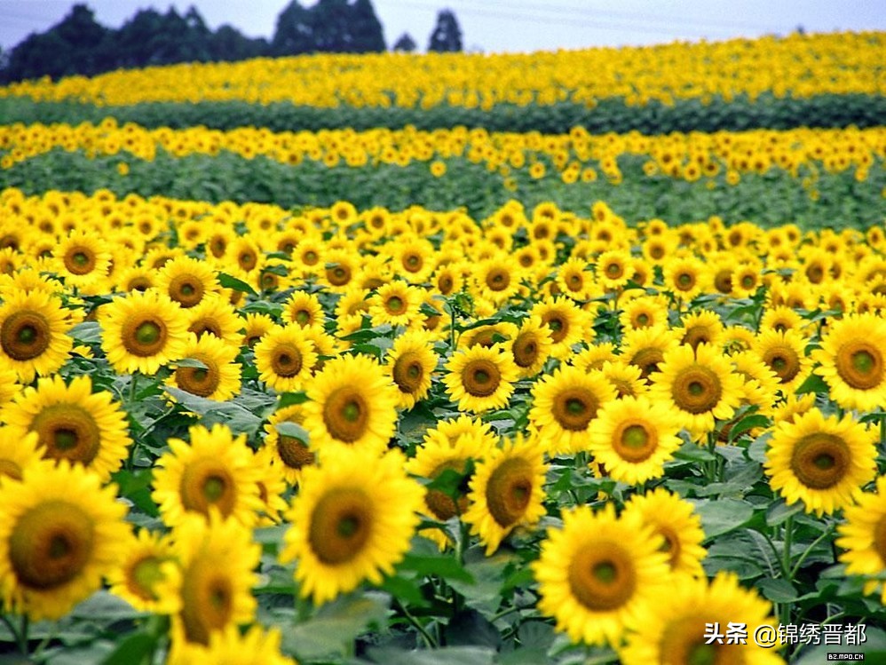 山西阳曲锦绣晋都视频,锦绣晋都山西风情