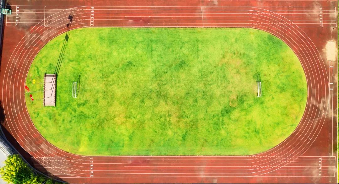 投资10亿，坐标布吉，这是一所被低估的宝藏学校