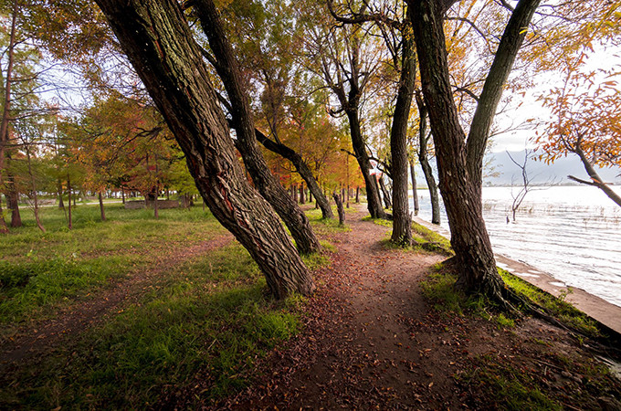 洱海旅游景点攻略,西安洱海旅游攻略必去景点