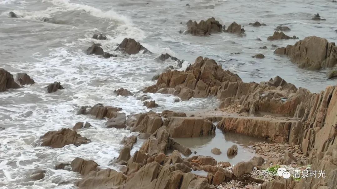 秋游锦园,秋游东黄山