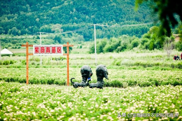 北京百里乡居精品民宿酒店,蓟县乡居民宿农家院的位置