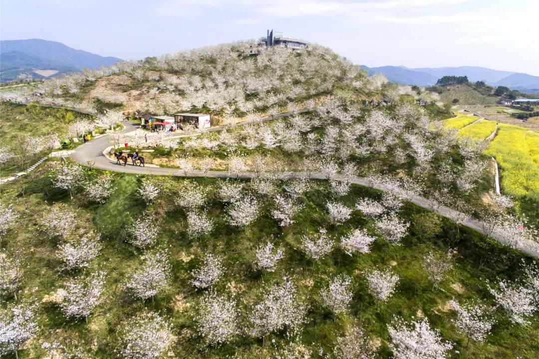 5a级景区排行榜杭州,浙江首批5a景区有哪些