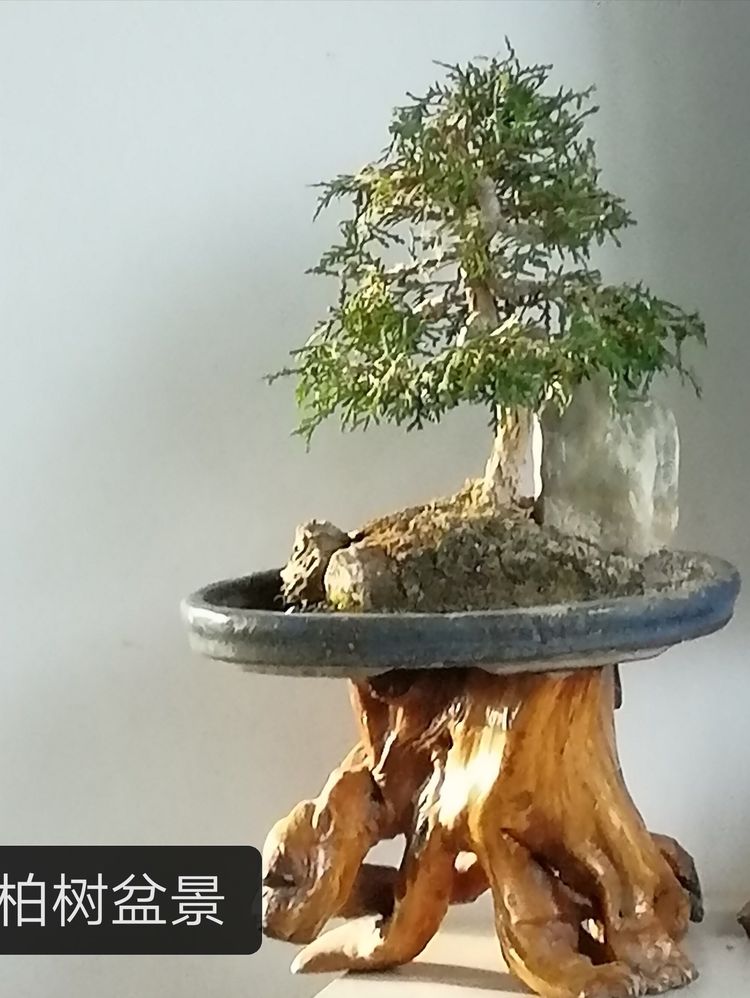 《我们永远是祖国的兵》(二)庆祝“八一”建军节93周年联欢晚会