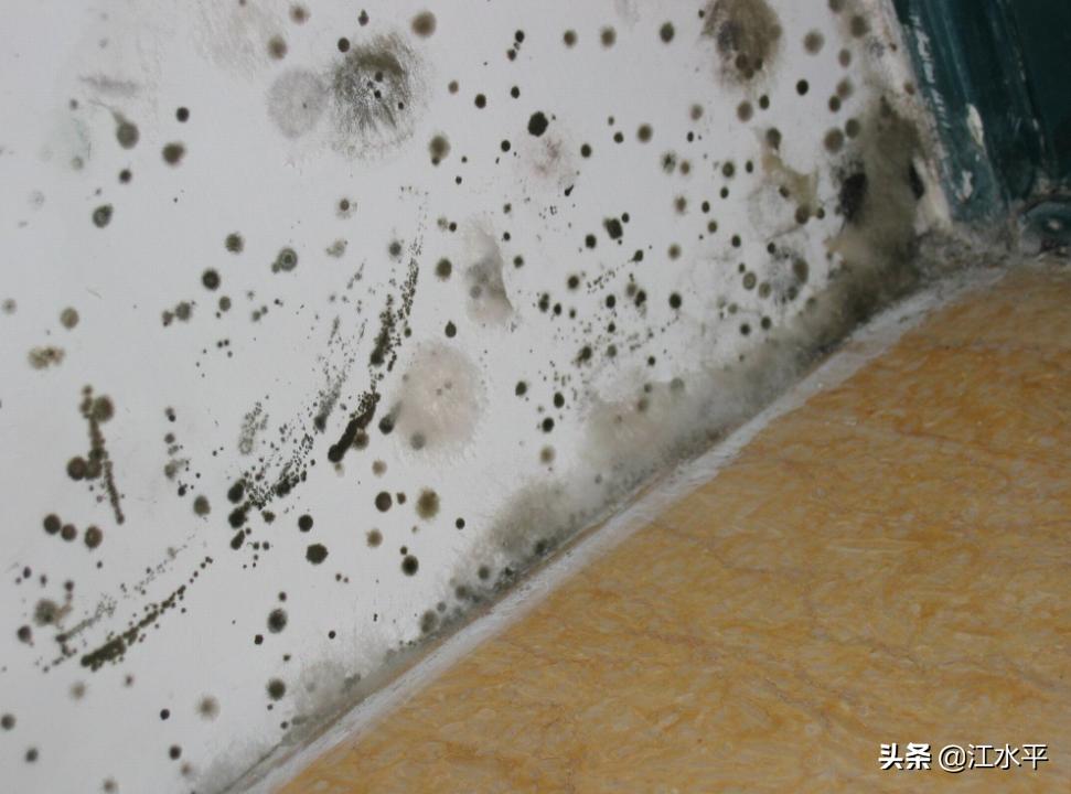 房子墙上起霉点什么原因,房子墙根有霉点是什么原因导致的