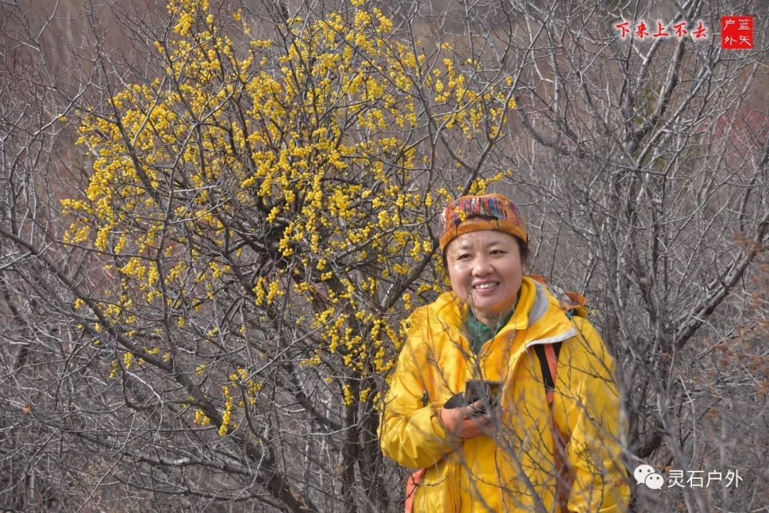 灵石登山运动,灵石登山步道