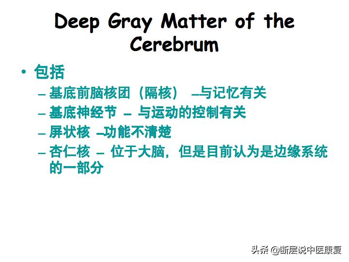 中枢神经系统断层解剖讲解,中枢神经3d解剖动画