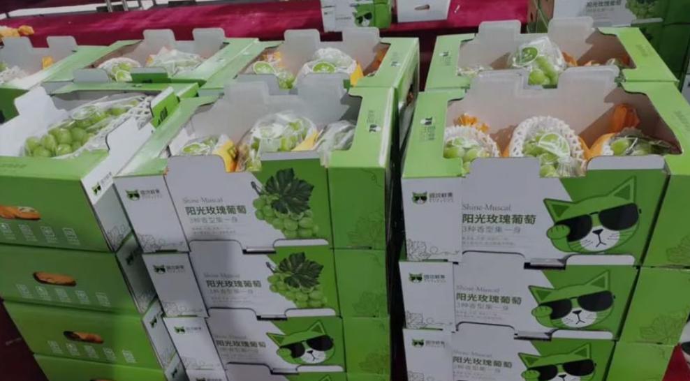 三润集团有限公司,三润集团旗下有哪些公司