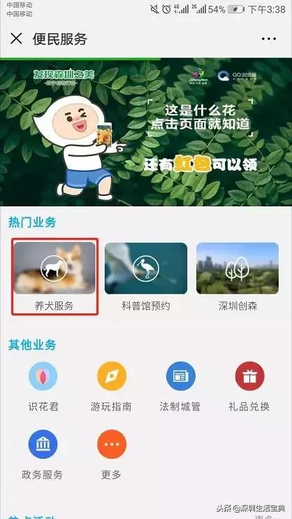 深圳养狗证多少钱,深圳养狗证网上可以查吗