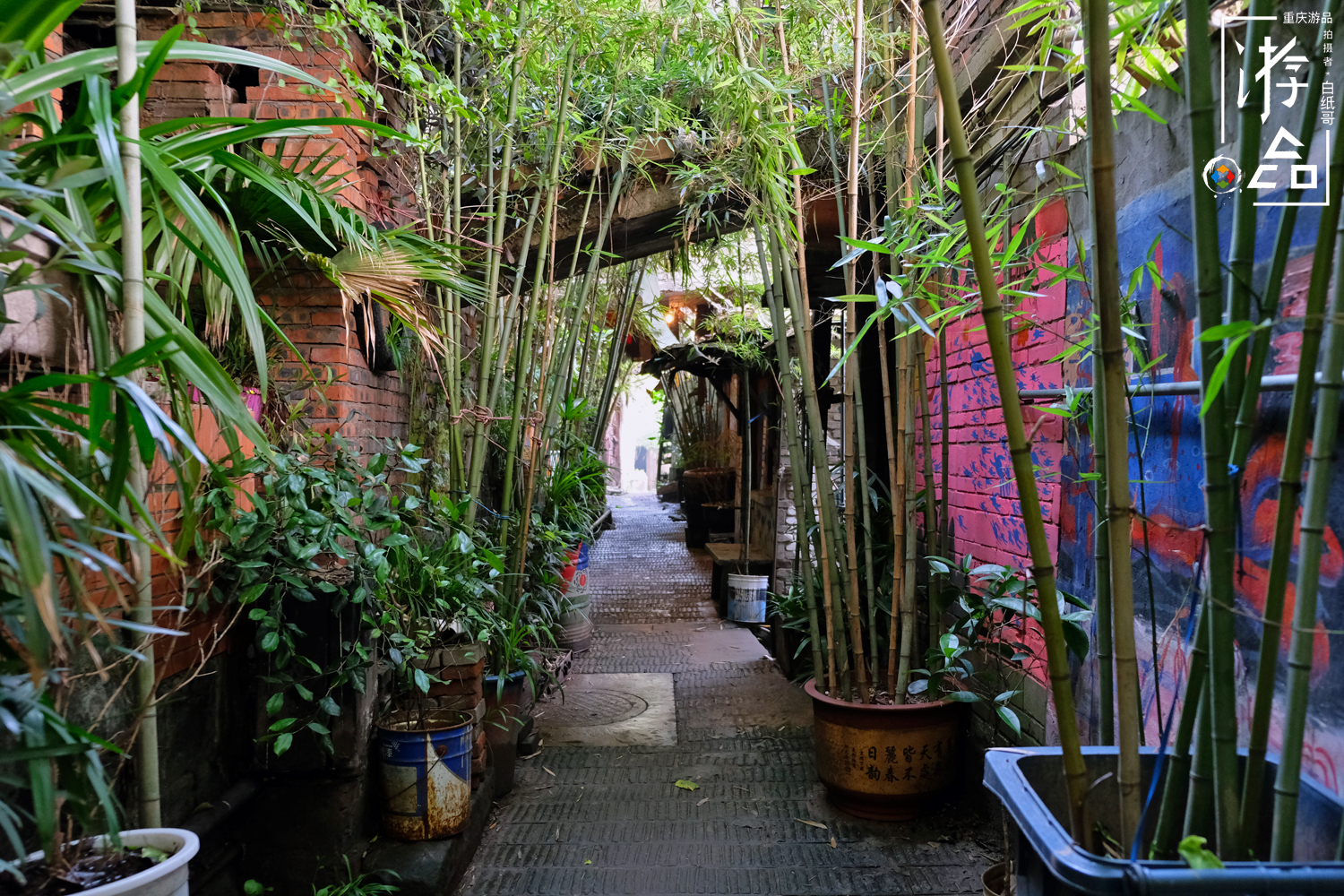 燕子岩重庆,重庆燕子岩风景区