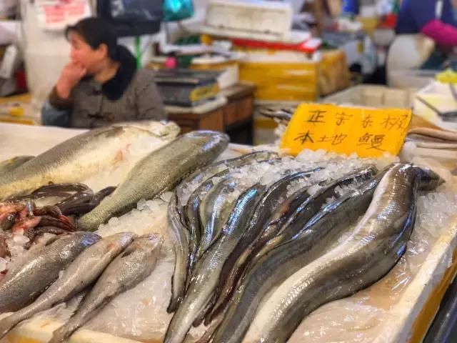 舟山吃住玩最全攻略,带你玩转舟山