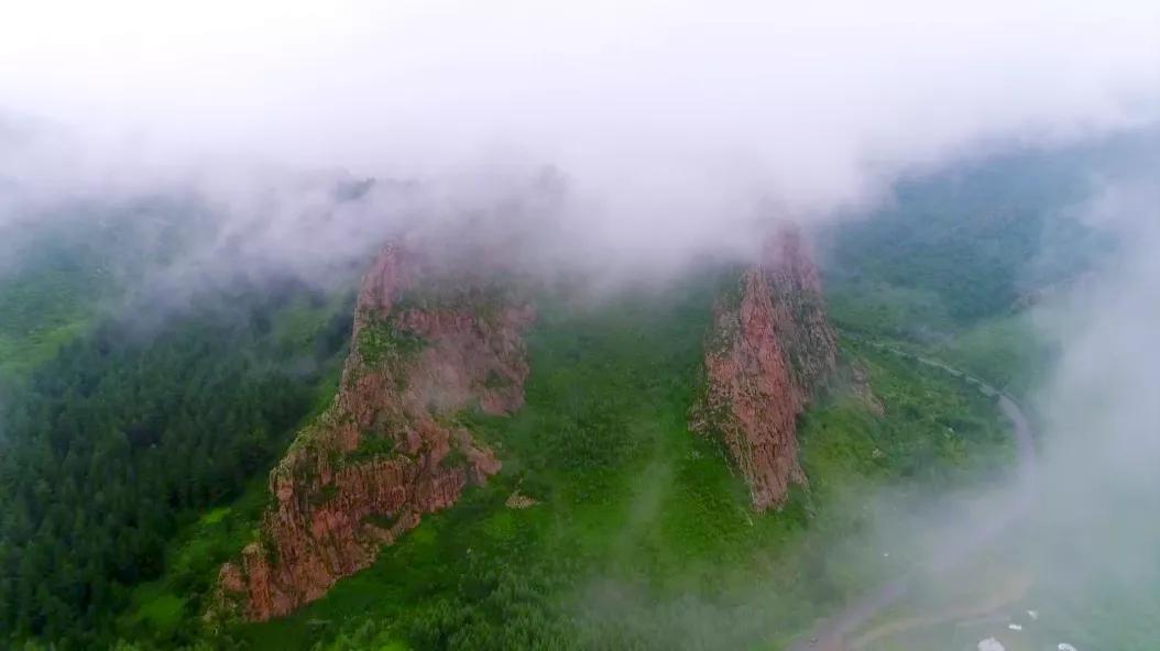 有一种绿绿绿绿绿绿绿，叫赤峰的林