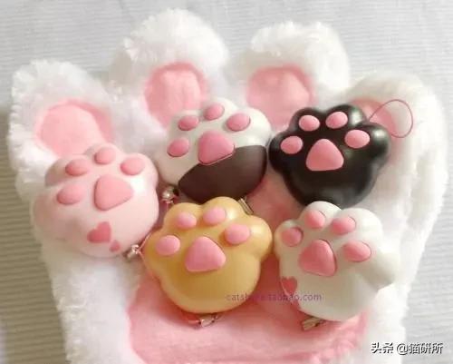 有关猫爪的小知识,关于猫爪的10个有趣的事实