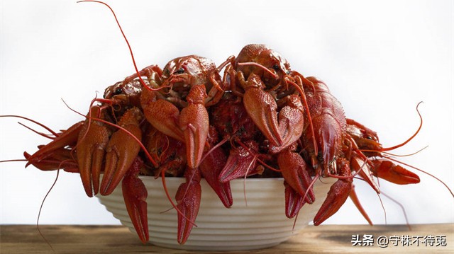 25个生活中冷知识,24个冷知识真实有趣的存在