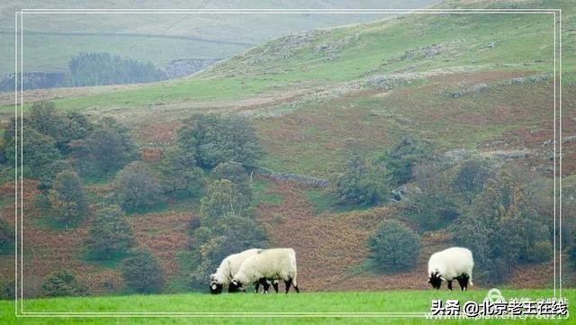 英国湖区景点排行榜,英国旅游推荐海边旅游景点