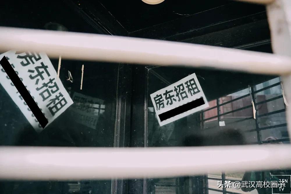 武汉疫情过后就业怎么样,疫情武汉做it行业现在前景