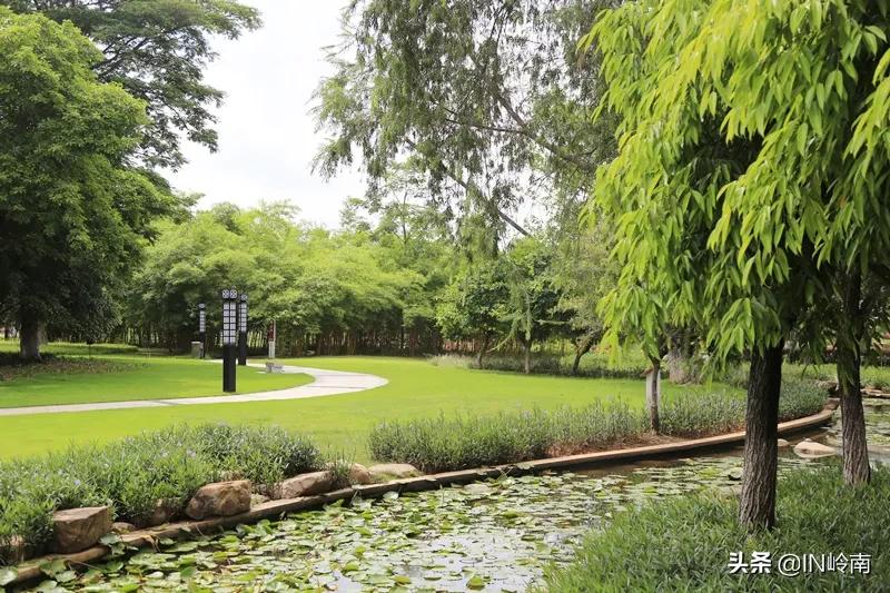 水滴花园，水下森林，这个小岛上的水可太美了