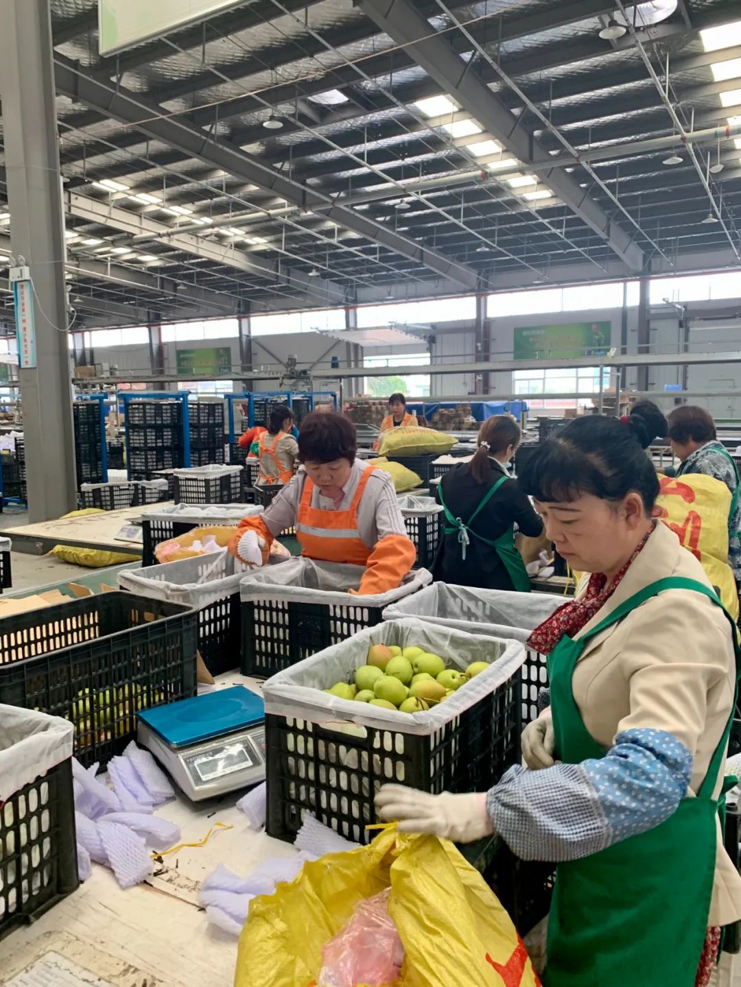 新疆农产品电商推介,新疆特色农产品杭州新电商启动