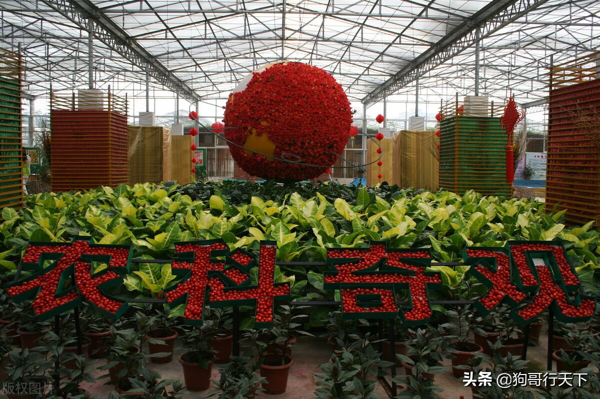 珠海景点排行榜前十名,珠海免费开放的沙滩十大免费景点