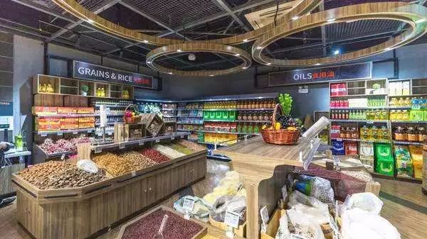 全球有机农业发展现状,有机农业比传统农业更环保吗