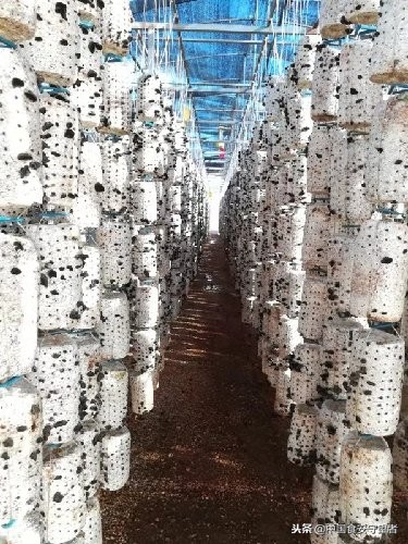 技术创新匠心品质,技术创新深刻改变科研范式