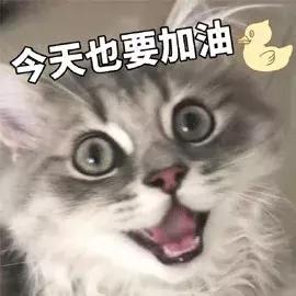 新手彩妆练习,怎么测试适合自己的彩妆