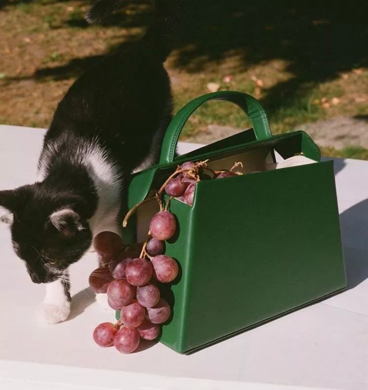 小ck包包推荐小众高级感,和小ck一样的小众包包