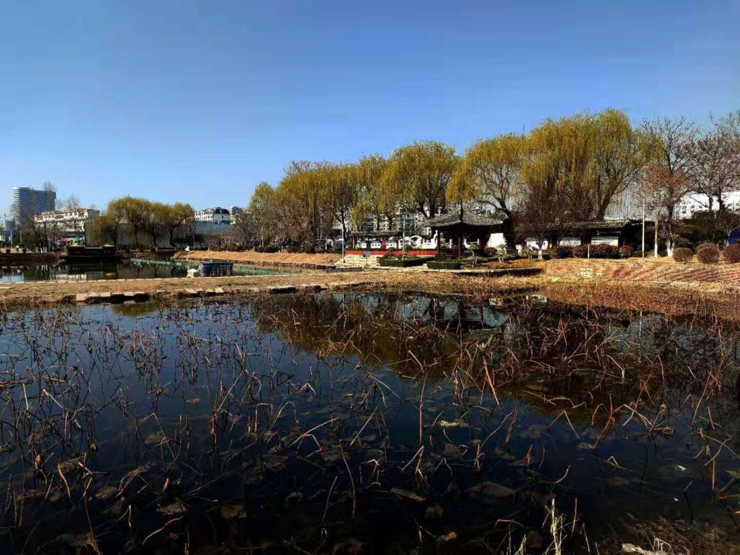 济南北园纪事——孤村依渔舍，群鸥泛稻池，那些美丽的人和事你还记得多少？