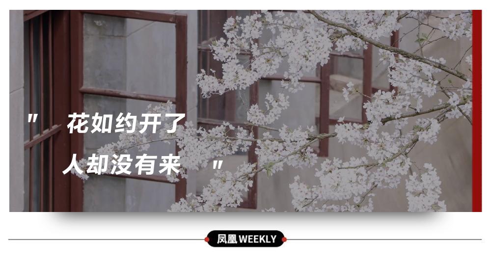 是心动啊，樱樱樱樱樱樱樱樱樱