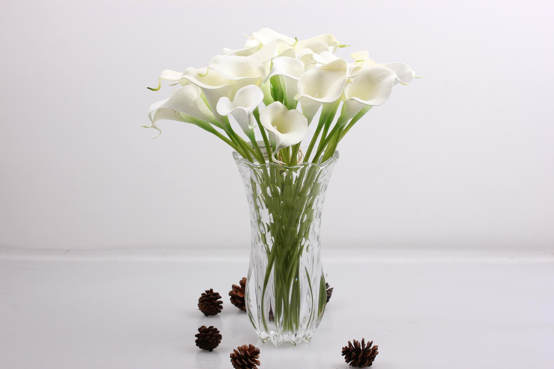 马蹄莲怎么养可多开花,马蹄莲怎么养才能多开花