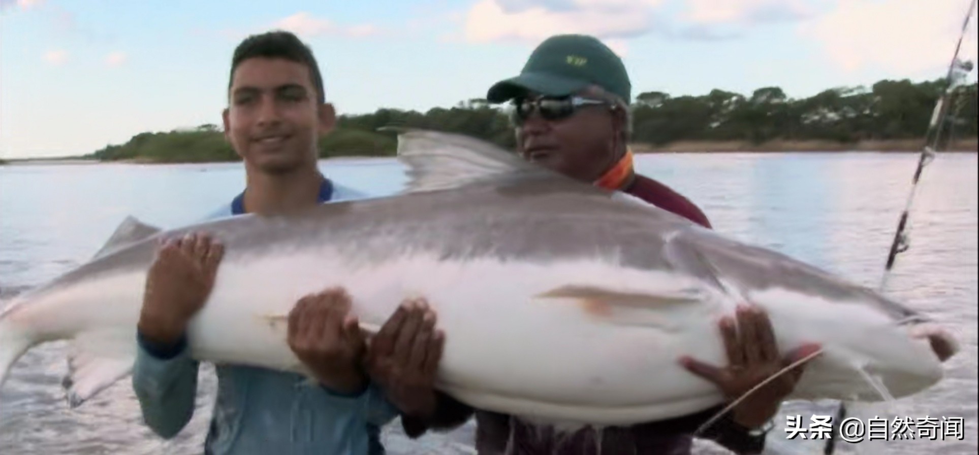 亚马逊十大凶猛植物,巴西亚马逊热带雨林动植物