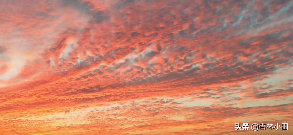 补肾吃六味地黄丸有效吗,六味地黄丸对补肾真的有用吗