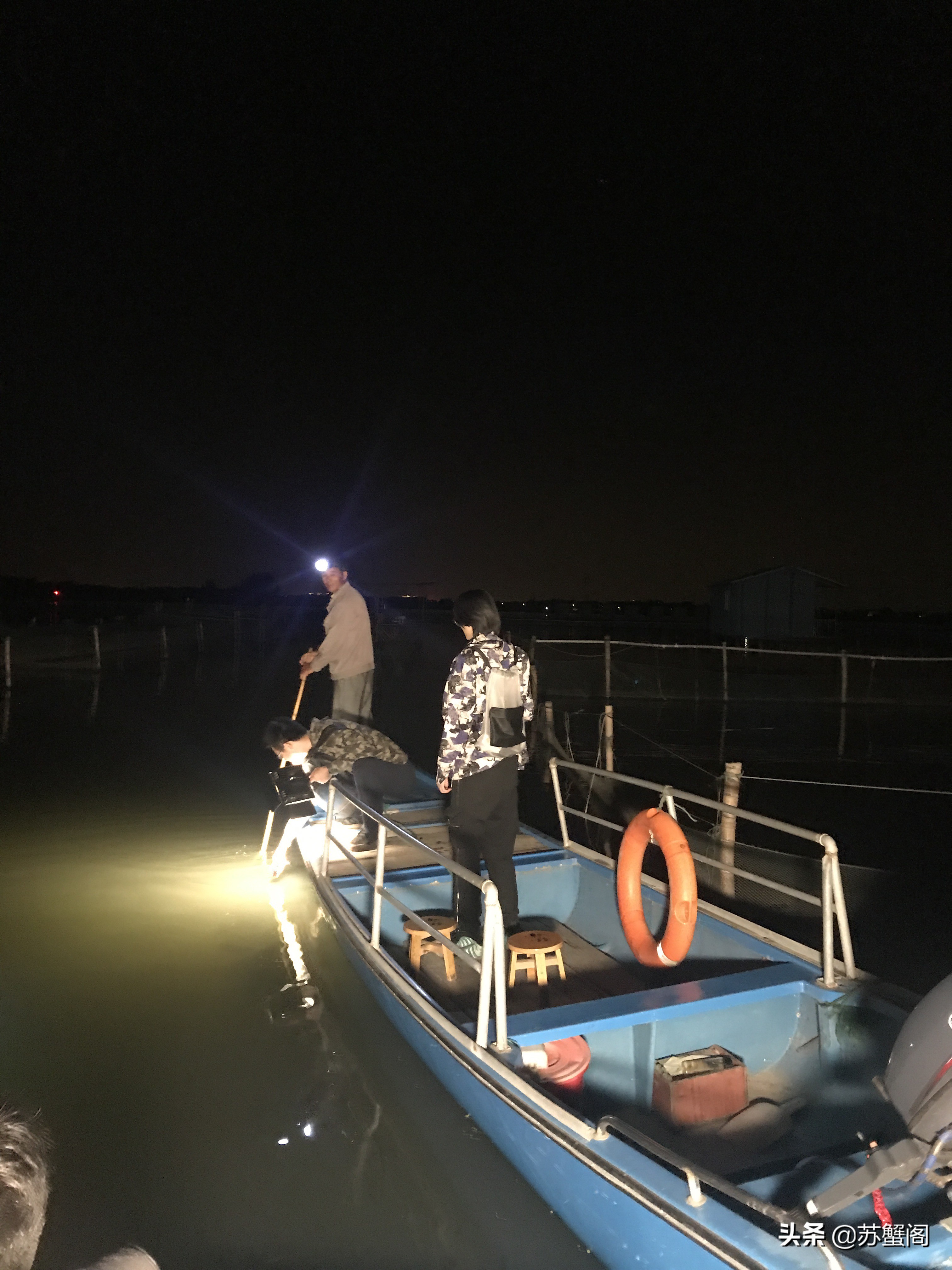 测评阳澄湖大闸蟹视频,肥美正宗阳澄湖大闸蟹