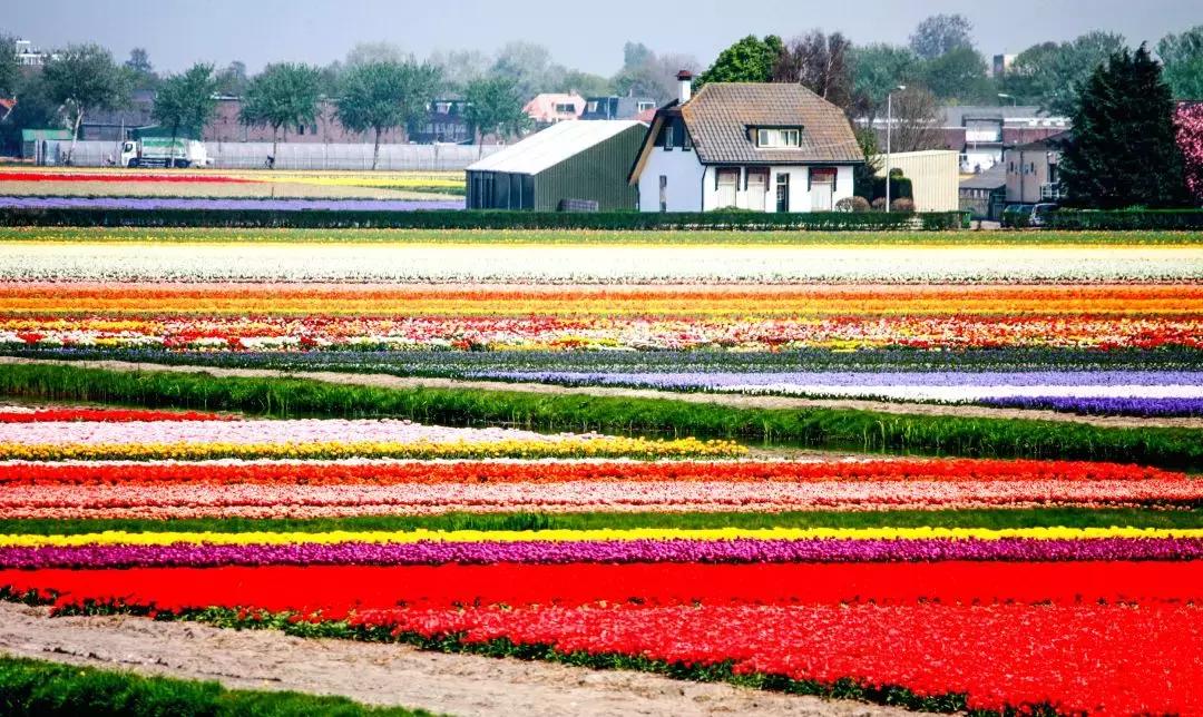 广州白云山什么时候开始改造,广州白云山现在能开上去吗