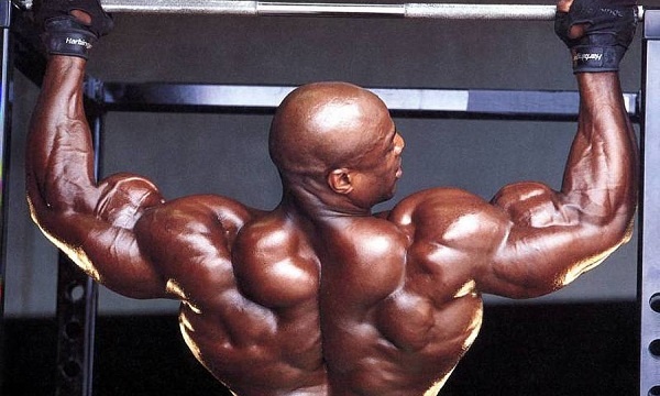 健身背部肌肉分布图,健身增肌背部肌肉怎么练