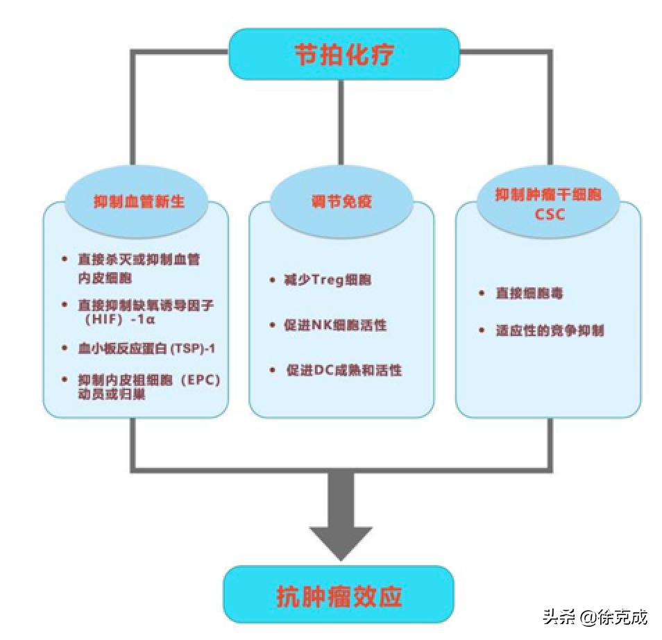 癌症的治疗与预防讲座的心得体会,癌症治疗的最终走向